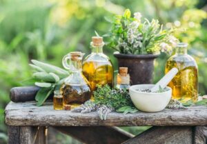 Plantas medicinales para la buena salud